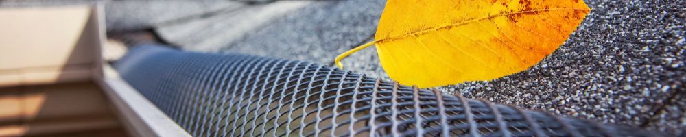 Dakonderhoud in Wilnis